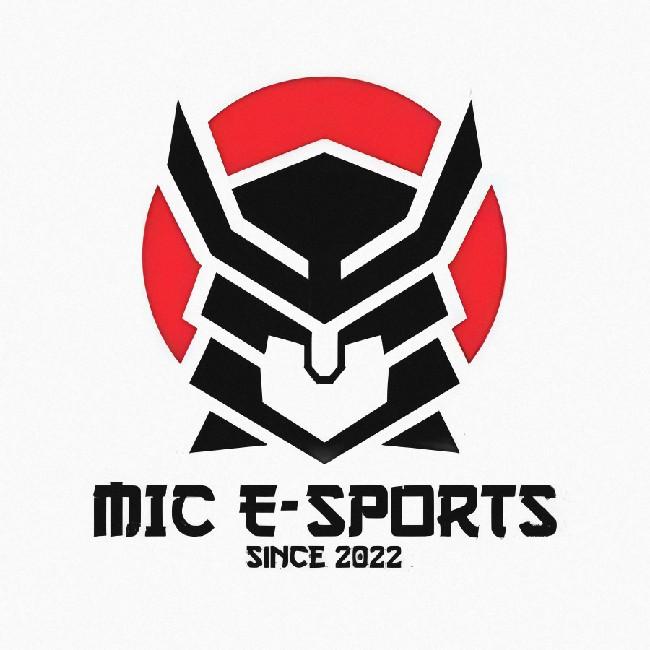 Made in China E-sports