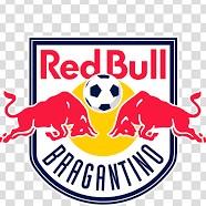 BRAGANTINO