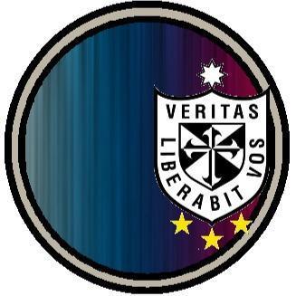 UNIVERSIDAD SAN MARTIN