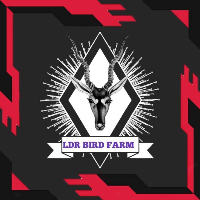 RMO-LDR BIRD FARM