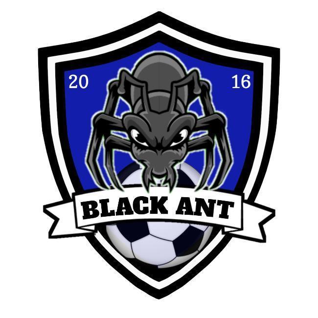 Black Ant TEFC
