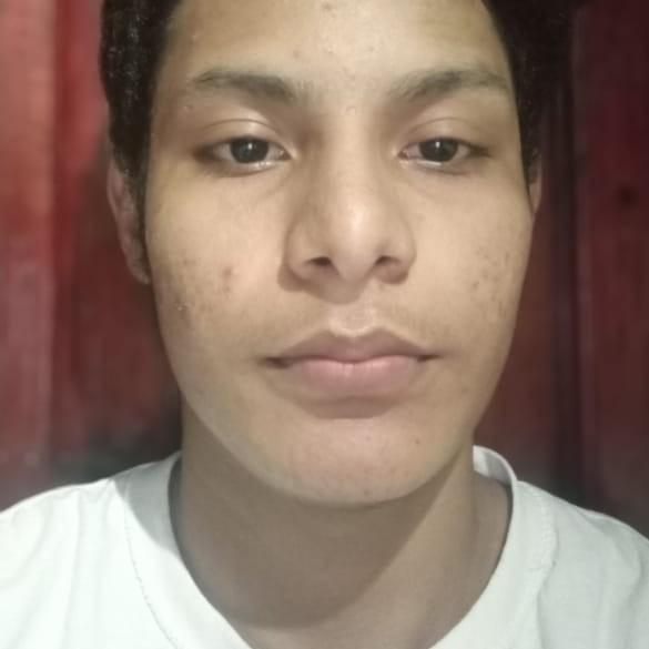JOSE ANSELMO FLORES  CASTELAN