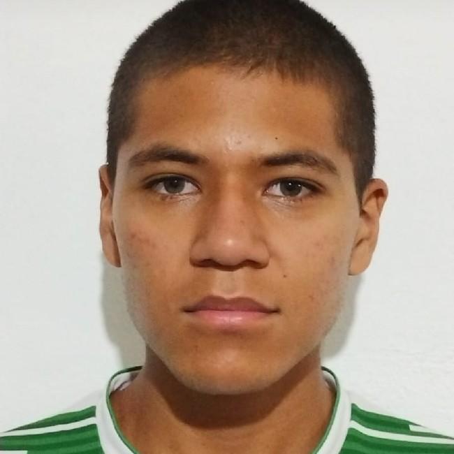 David Emiliano Cervantes Ramirez