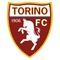 Torino (ivan-93)