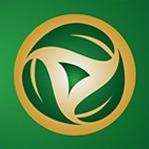Copa Verde