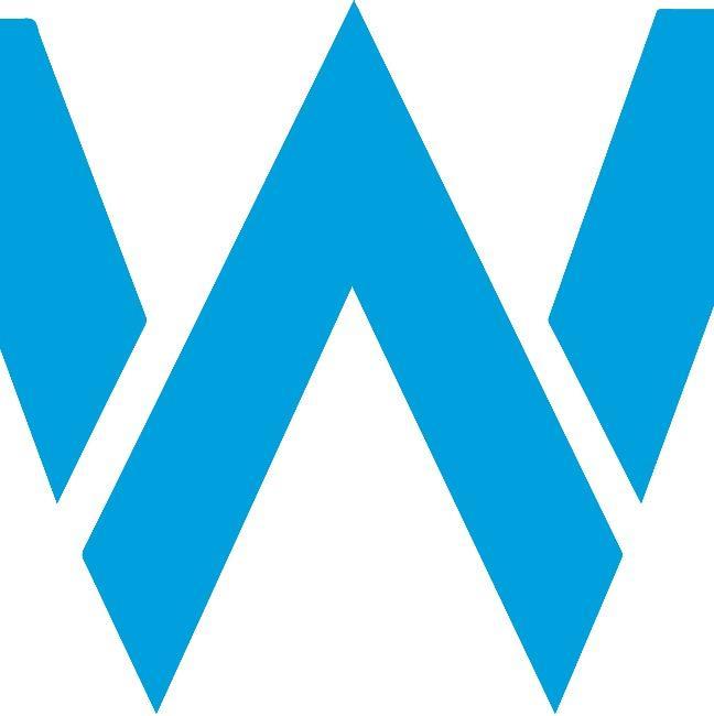 Williams F1 Team