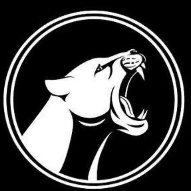 FC “Cougars”