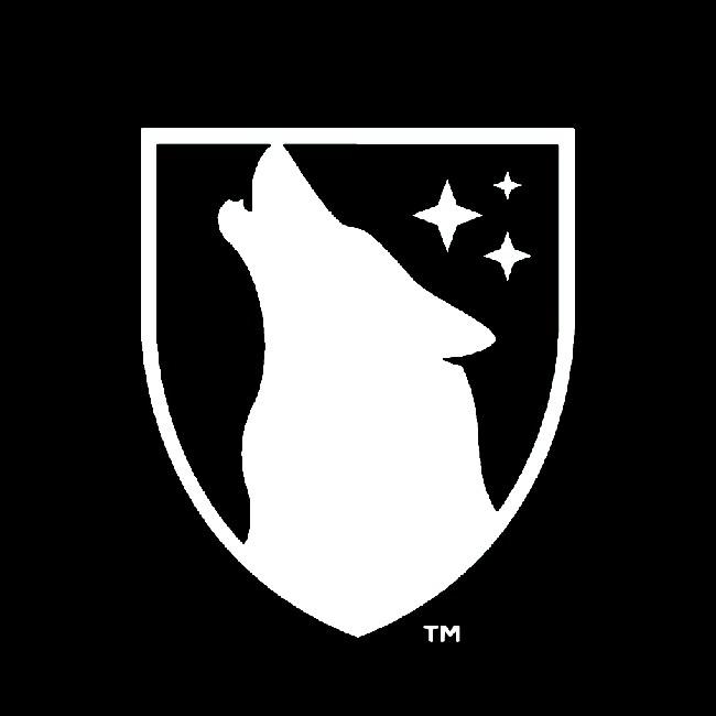 League A Soccer™