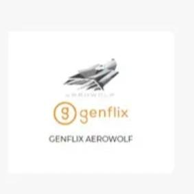 Genflix.       ( B )