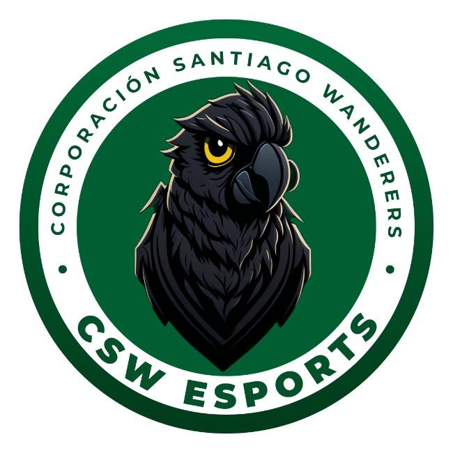 Wanderers Black eSport