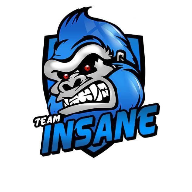 INSANE TEAM/INT