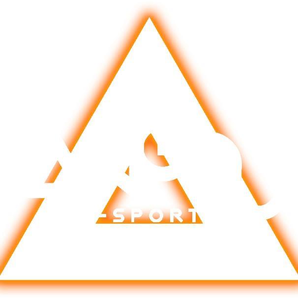 HANGOUT ACADEMY / HG