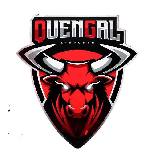 QUENGAL E-SPORTS/ QG