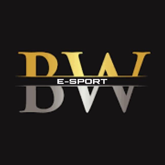 BORTHWICK ESPORTS /BW