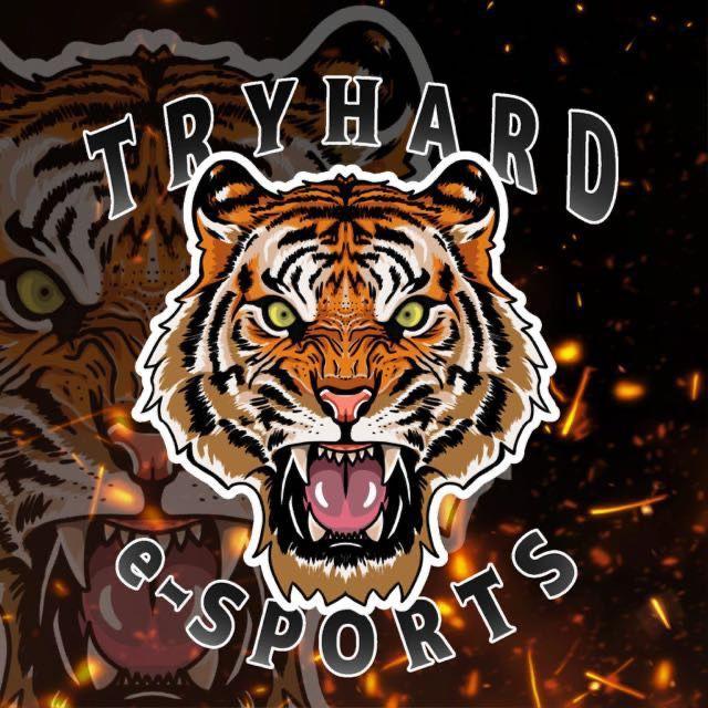 TryHard e-Sports / try