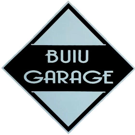 BUIU GARAGE E-SPORTS / BGE