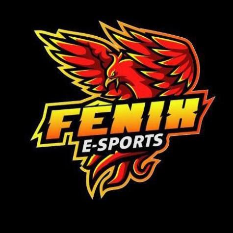 FENIX SPORTS/FX