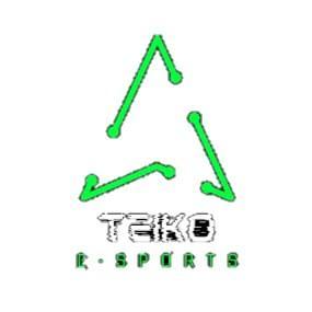 TEIKO E-SPORTS /TEIKO