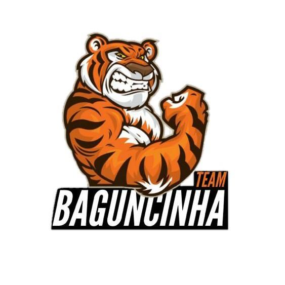 BAGUNCINHA TEAM /BGT