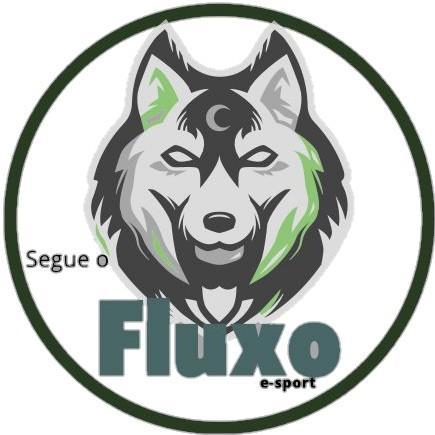 SEGUE O FLUXO2/FLUXO