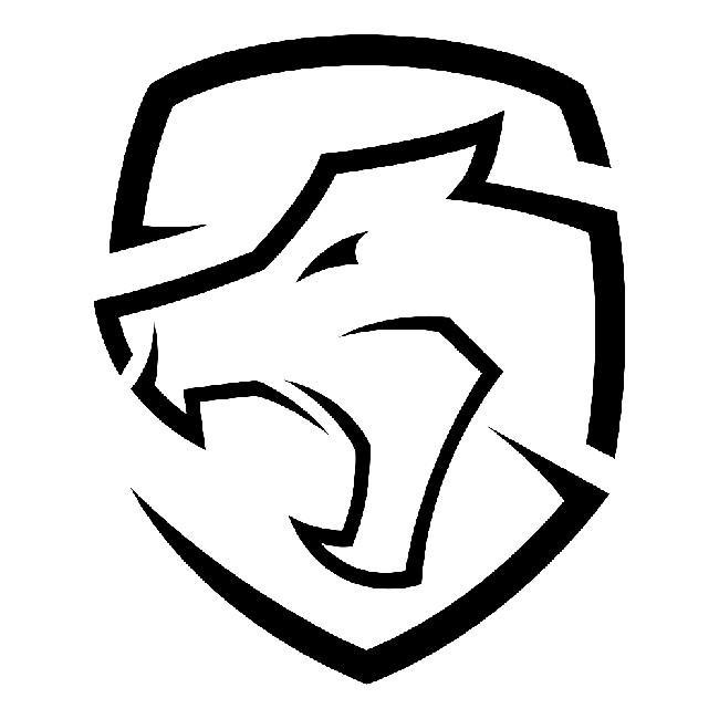 BRAZILIAN RAMPAGE/BRR