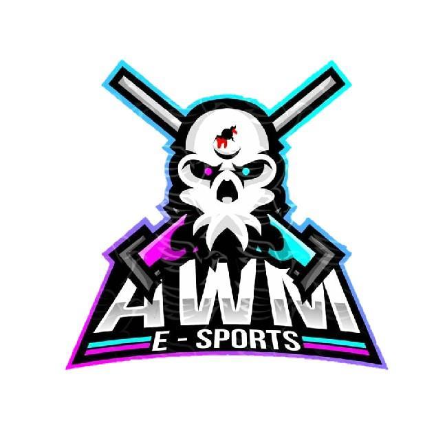 AWM E SPORTS/AWm
