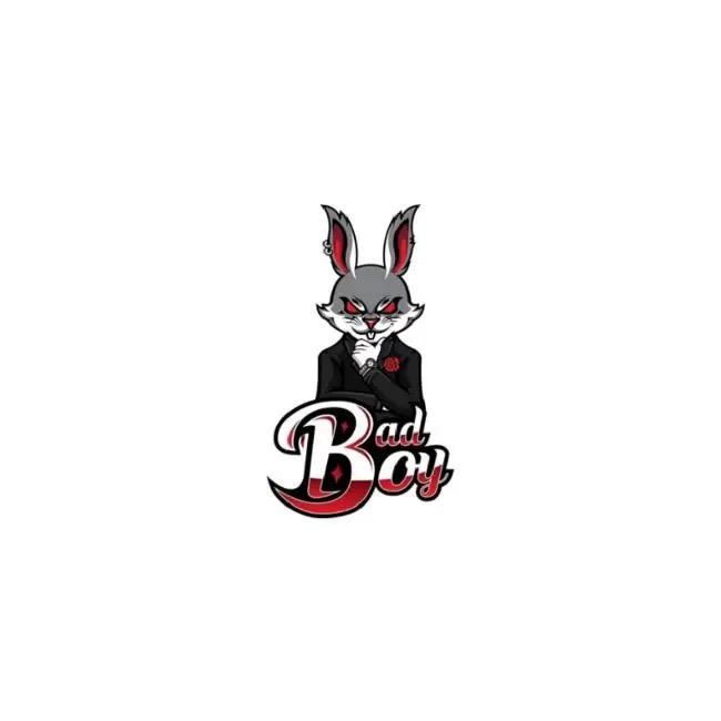 2BKelvin