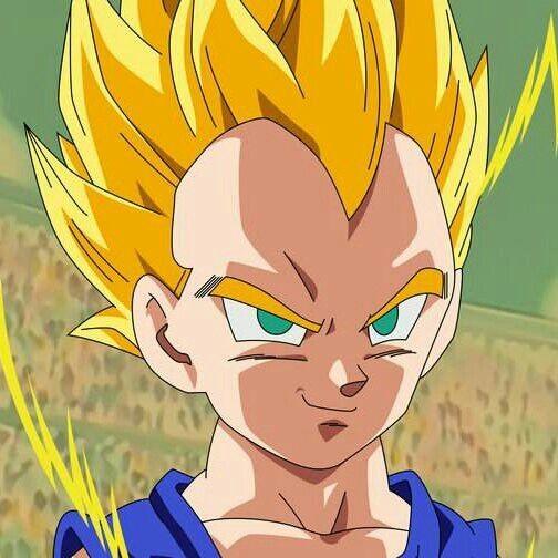 Vegeta Jr