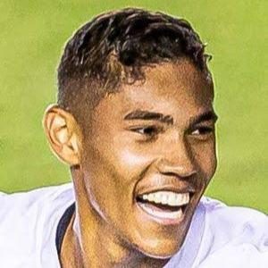Vinicius Balieiro