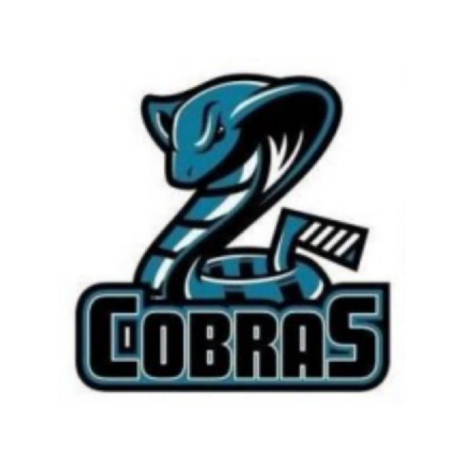 Team Cobras