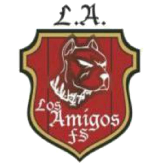 Los Amigos FS