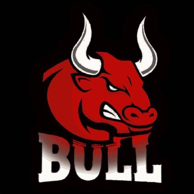 MONSTER BULL/ BULL