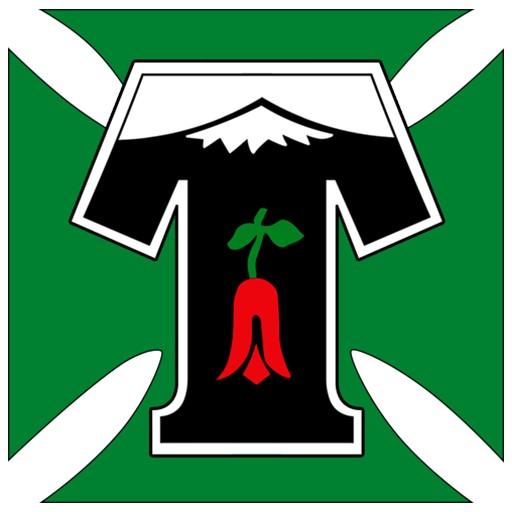 Deportes Temuco