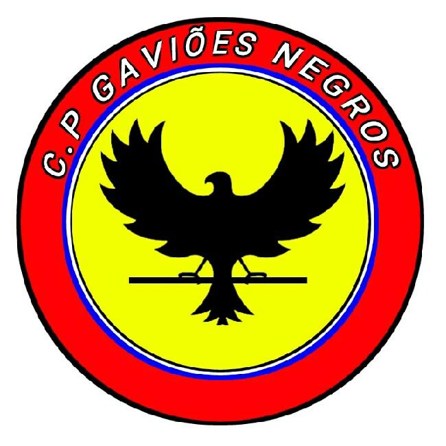 Gaviões Negros