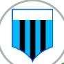 Grêmio tricolor87