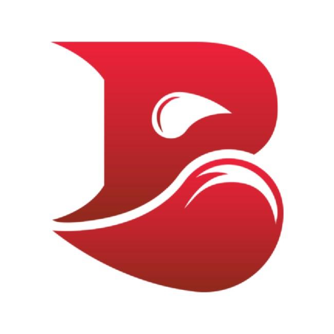 Bleed Esports