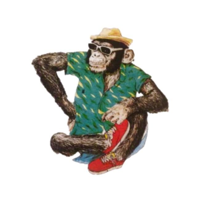 Monkey Hunteers