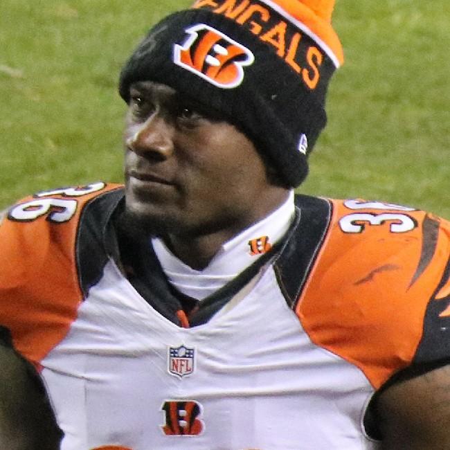 shawn williams