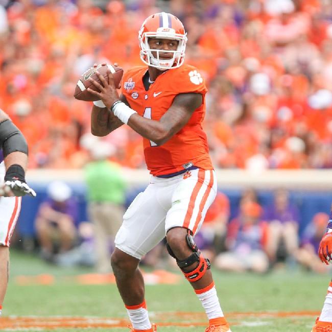 deshaun watson