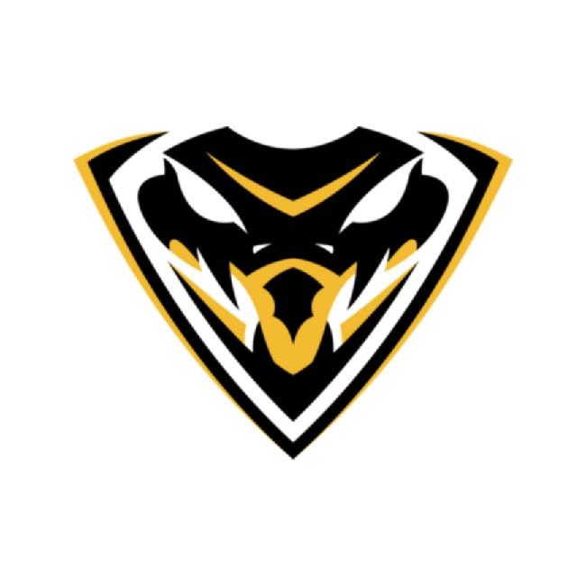 Team Viper
