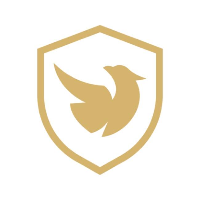 Reven Esports