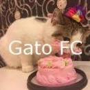 Gato FC