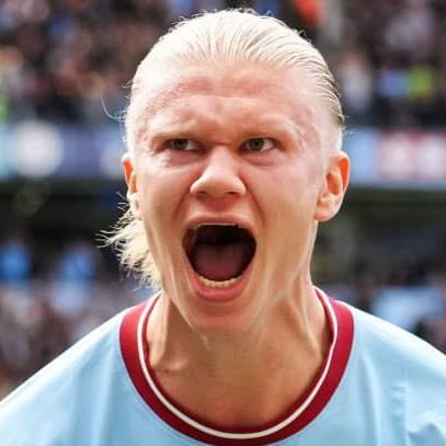 ERLING HAALAND