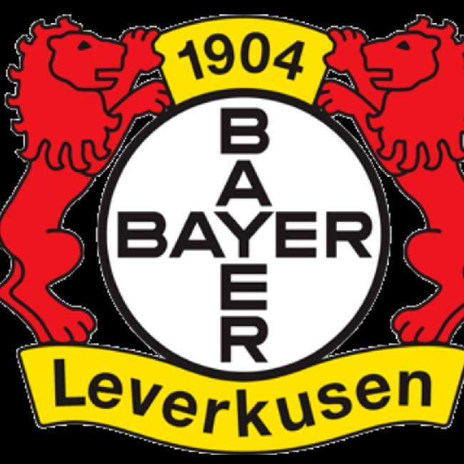 Bayer L.