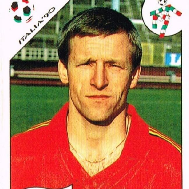 Michel De Wolf