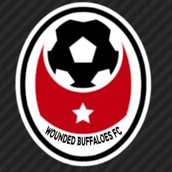 WOUNDED BUFFALOES