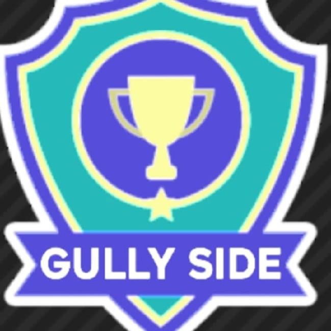GULLY SIDE