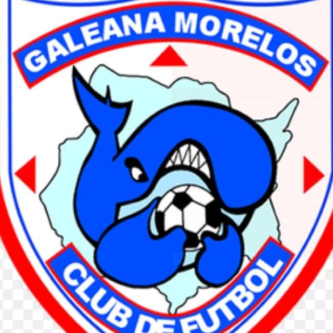 Las ballenas del norte