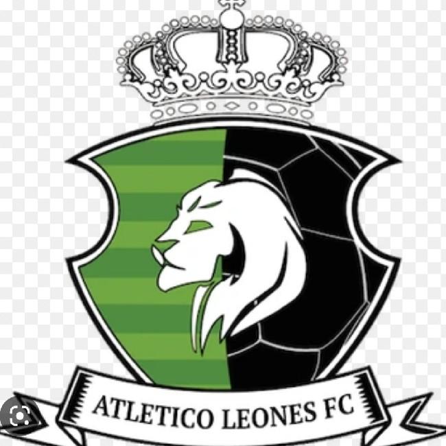 Los leones de merida