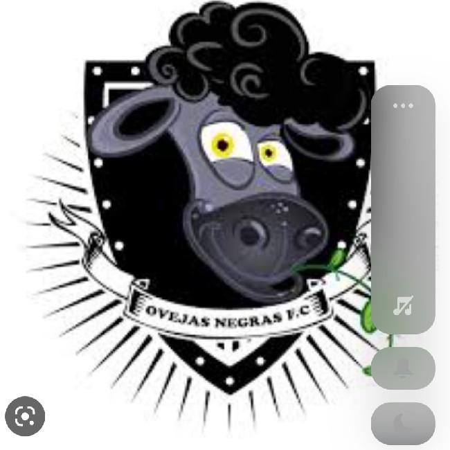 Ovejas fc